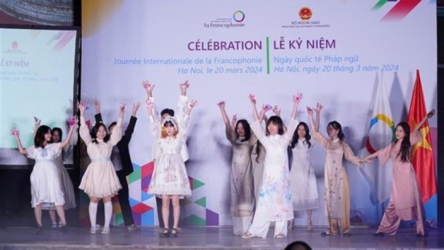 Vietnam contributing to realising objectives of Francophone Community: Deputy FM